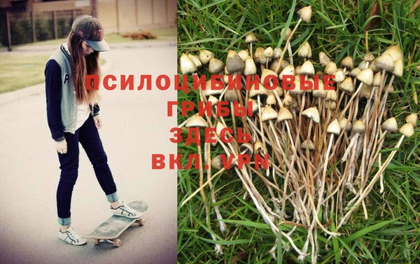 марихуана Абаза