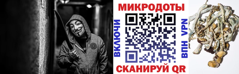 Псилоцибиновые грибы прущие грибы  Рыбное 